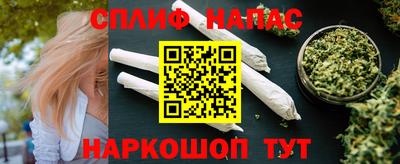 шишки Новокубанск