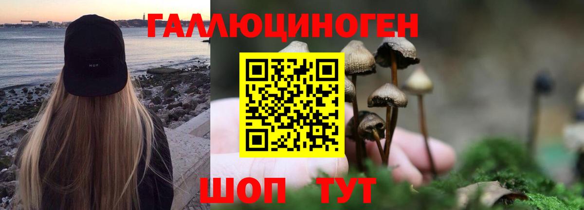 Урус-Мартан  Псилоцибиновые грибы мухоморы  Вход с VPN 